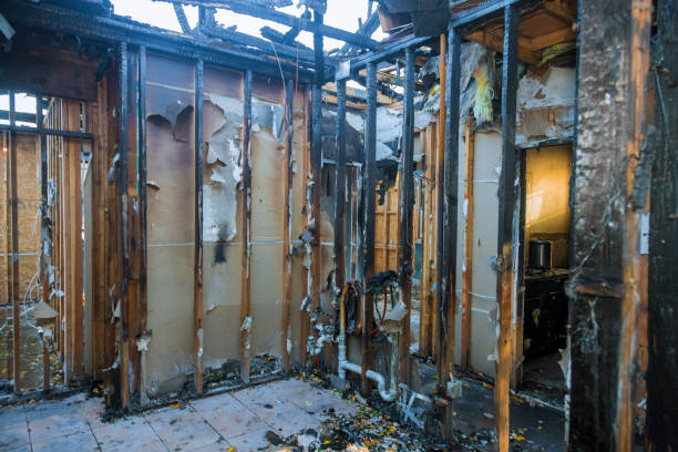 Professional Fire Damage Restoration technician working in Berkshire Lakes, FL